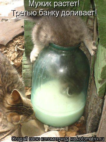 Котоматрица: Мужик растет!  Третью банку допивает!