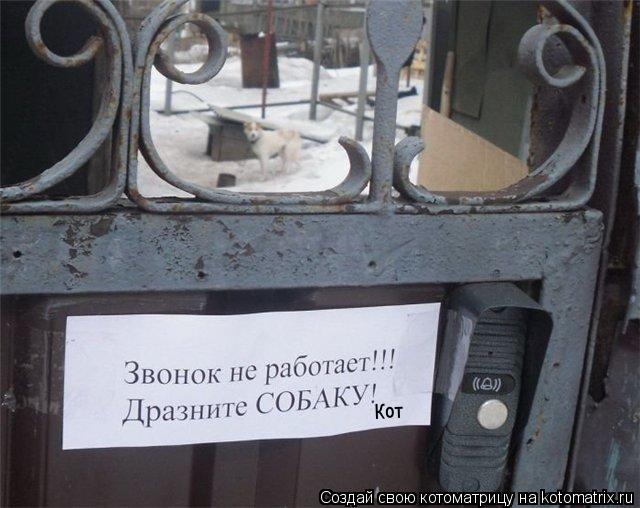 Кот... Котоматрица: Кот
