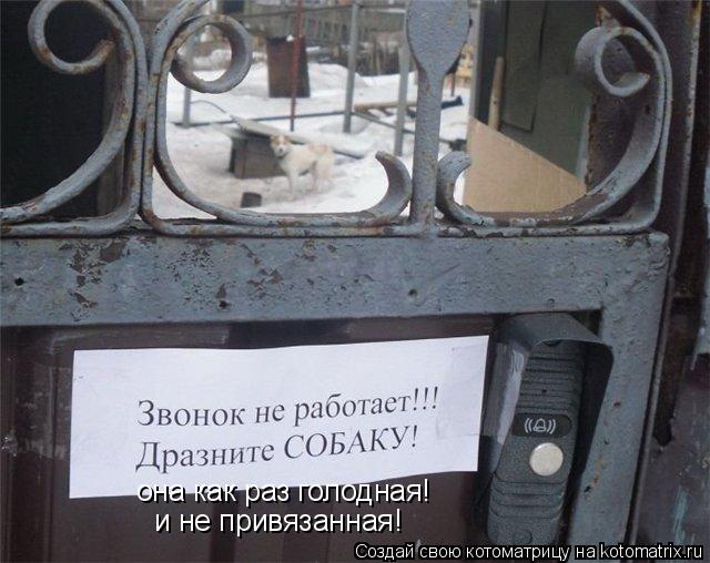 она как раз голодная! и не привязанная!... Котоматрица: она как раз голодная! и не привязанная!