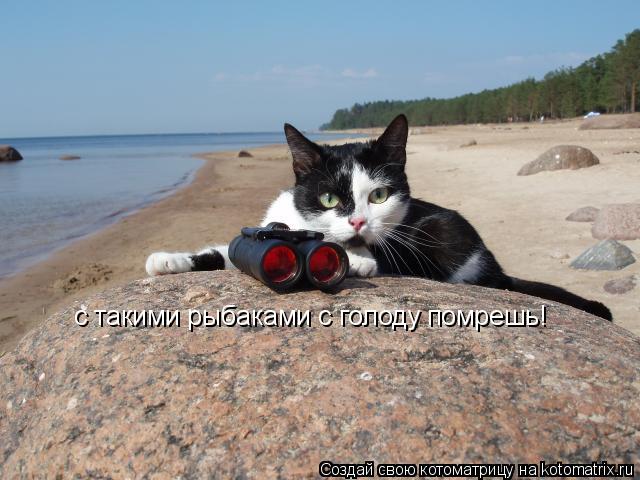 Котоматрица: с такими рыбаками с голоду помрешь!