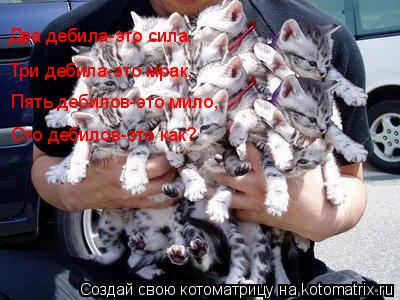 Котоматрица: Два дебила-это сила, Три дебила-это мрак, Пять дебилов-это мило, Сто дебилов-это как?