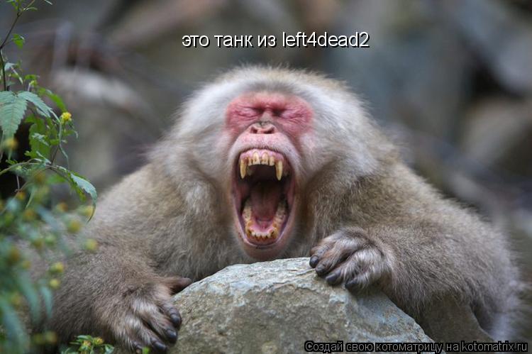это танк из left4dead2... Котоматрица: это танк из left4dead2