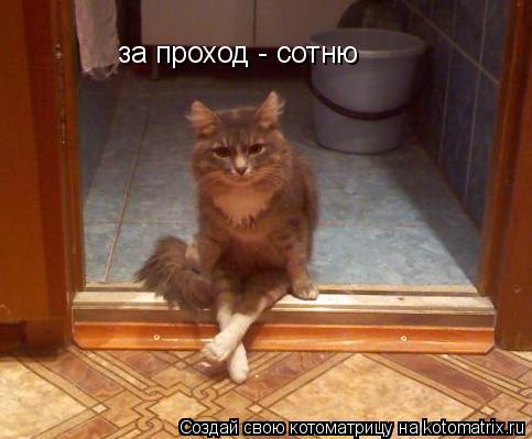 за проход - сотню... Котоматрица: за проход - сотню
