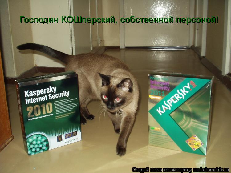 Господин КОШперский, собственной персоной!... Котоматрица: Господин КОШперский, собственной персоной!