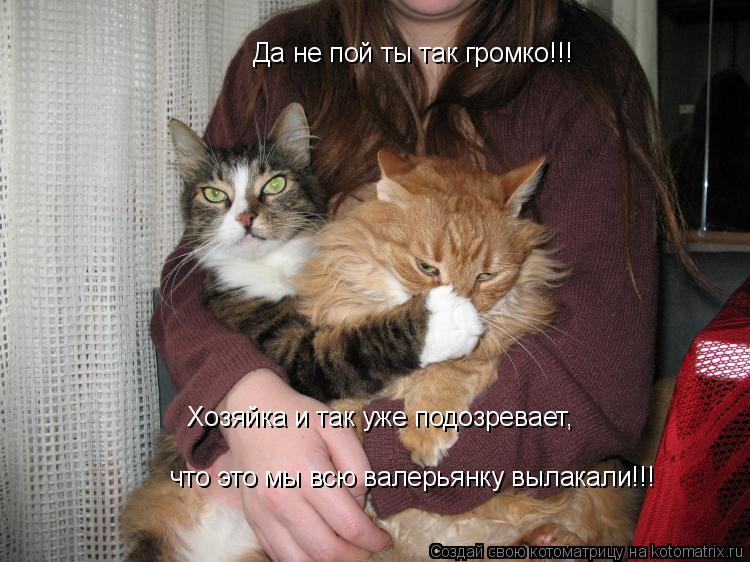 Да не пой ты так громко!!! Хозяйка и так уже подозревает, что это мы всю валерьянку вылакали!!!... Котоматрица: Да не пой ты так громко!!! Хозяйка и так уже подозревает, что это мы всю валерьянку вылакали!!!