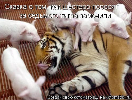 Котоматрица: Сказка о том, как шестеро поросят за седьмого тигра замочили