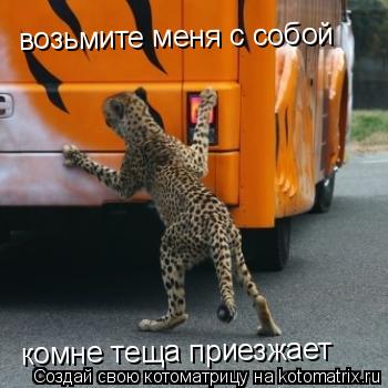 Котоматрица: возьмите меня с собой комне теща приезжает
