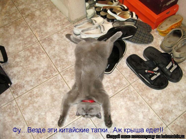Котоматрица: Фу....Везде эти китайские тапки...Аж крыша едет!!