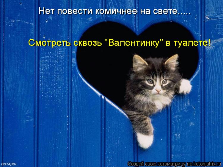 Нет повести комичнее на свете..... Смотреть сквозь "Валентинку" в туалете!... Котоматрица: Нет повести комичнее на свете..... Смотреть сквозь "Валентинку" в туалете!