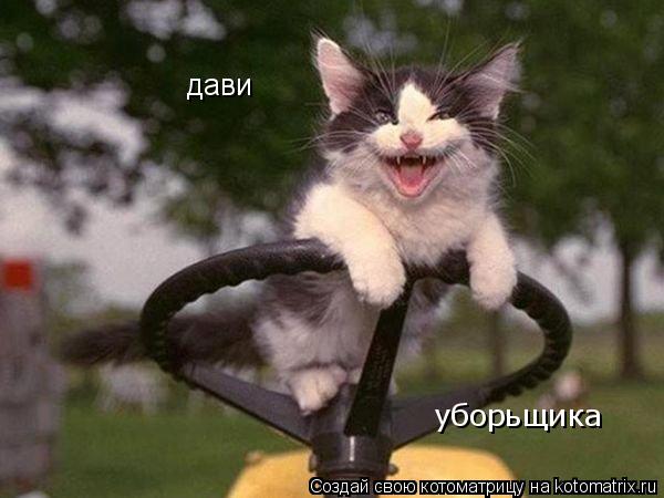 Котоматрица: дави уборьщика