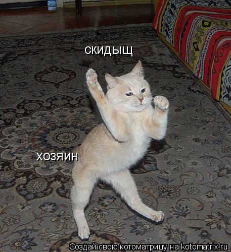 Котоматрица: скидыщ хозяин