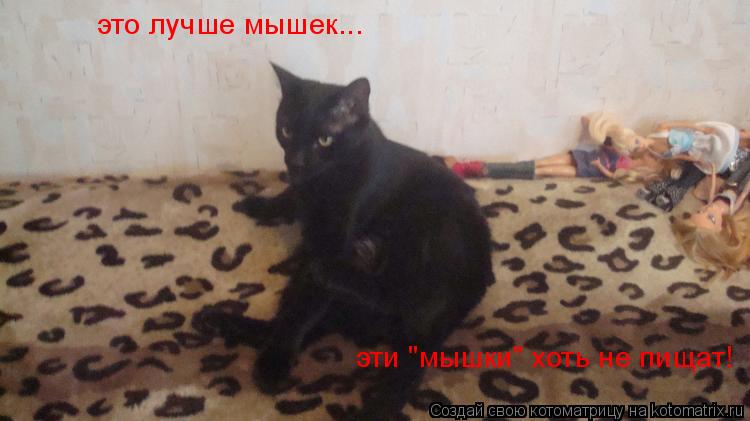 Котоматрица: это лучше мышек... эти "мышки" хоть не пищат!