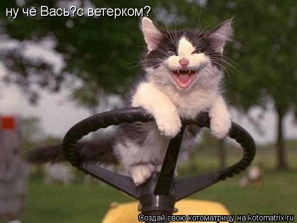 Котоматрица: ну чё Вась?с ветерком?