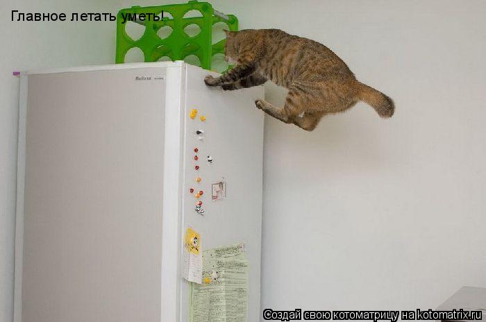 Котоматрица: Главное летать уметь!