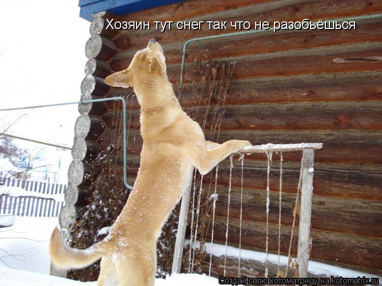 Котоматрица: Хозяин тут снег так что не разобьёшься