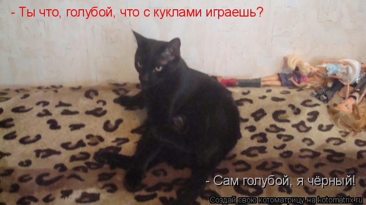 Котоматрица: - Ты что, голубой, что с куклами играешь?  - Сам голубой, я чёрный!