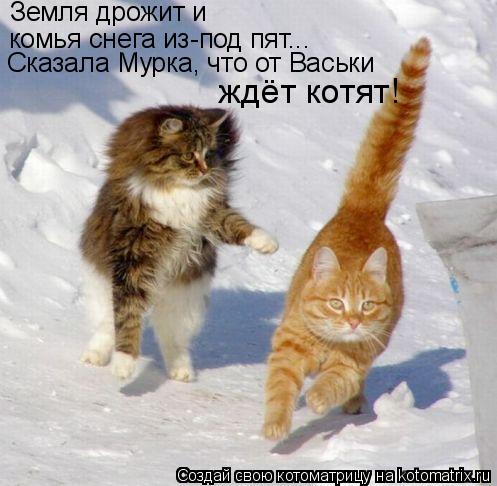 Котоматрица: Земля дрожит и комья снега из-под пят... Сказала Мурка, что от Васьки  ждёт котят!