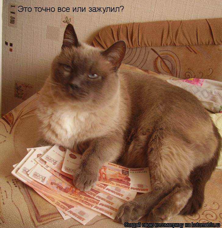 Котоматрица: Это точно все или зажулил?