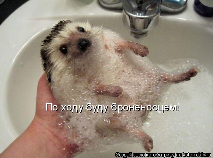 Котоматрица: По ходу буду броненосцем!