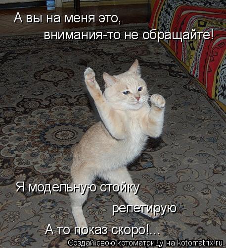 Котоматрица: А вы на меня это,  внимания-то не обращайте! Я модельную стойку репетирую А то показ скоро!...