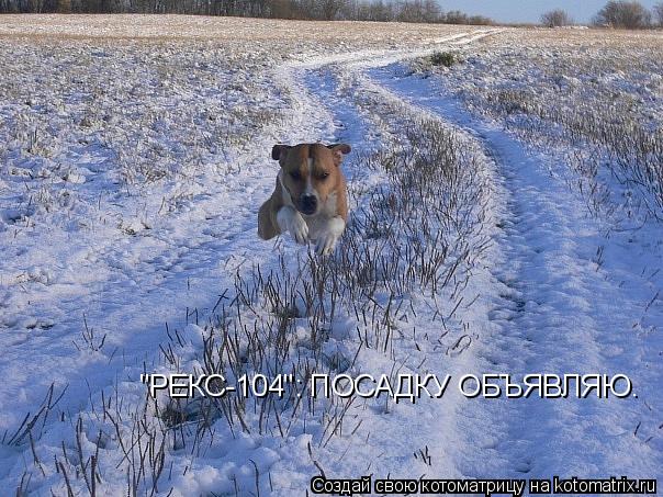 Котоматрица: "РЕКС-104": ПОСАДКУ ОБЪЯВЛЯЮ.