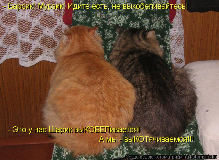 Котоматрица: - Барсик! Мурзик! Идите есть, не выкобеливайтесь! - Это у нас Шарик выКОБЕЛивается!  А мы - выКОТячиваемся!!!