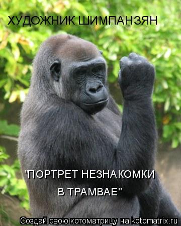 Котоматрица: ХУДОЖНИК ШИМПАНЗЯН   "ПОРТРЕТ НЕЗНАКОМКИ   В ТРАМВАЕ"