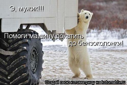 Котоматрица: Э, мужик!!!  Помоги машину докатить   до бензоколонки!