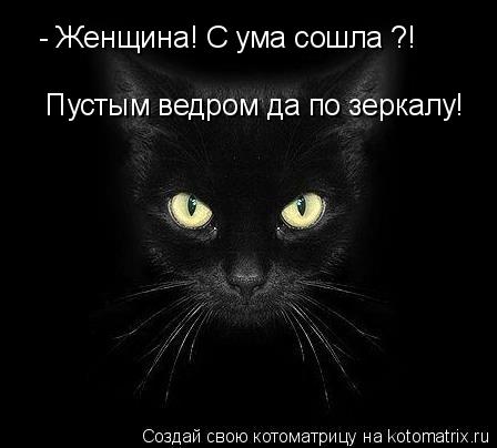 Котоматрица: - Женщина! С ума сошла ?! Пустым ведром да по зеркалу!