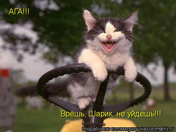 Котоматрица: АГА!!! Врёшь, Шарик, не уйдешь!!!