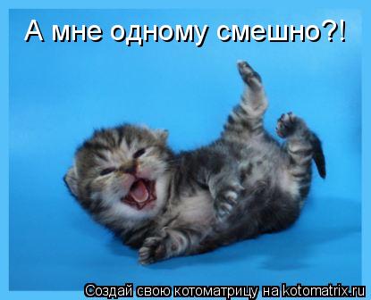 Котоматрица: А мне одному смешно?!