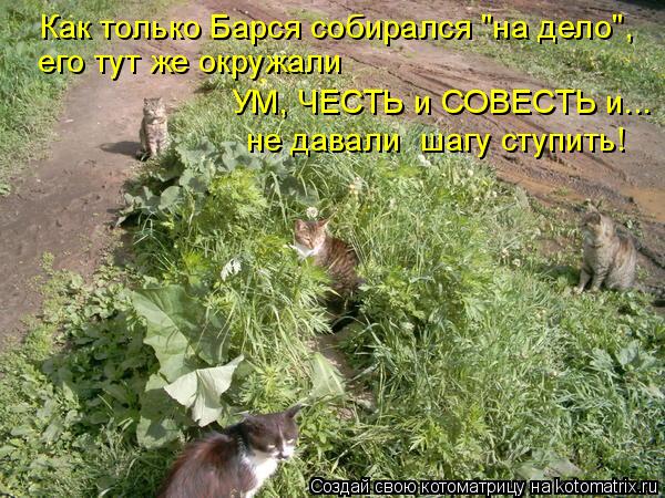 Котоматрица: Как только Барся собирался "на дело", его тут же окружали  УМ, ЧЕСТЬ и СОВЕСТЬ и...   не давали  шагу ступить!