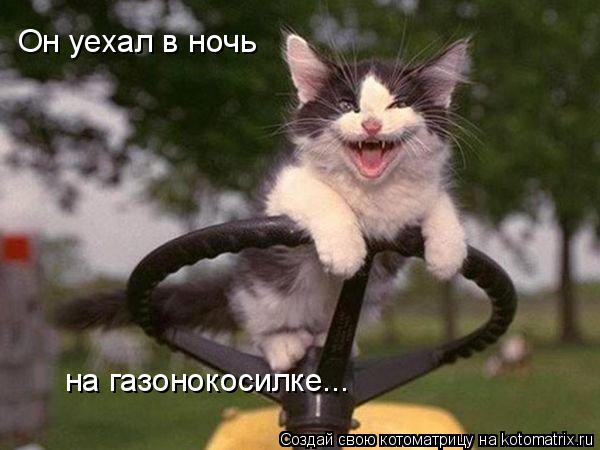 Котоматрица: Он уехал в ночь на газонокосилке...