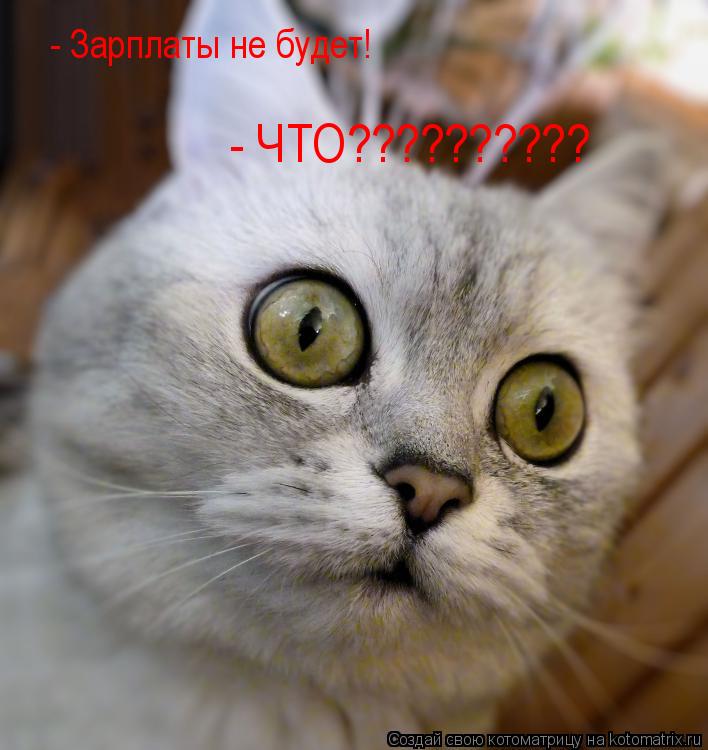 Котоматрица: - Зарплаты не будет! - ЧТО??????????