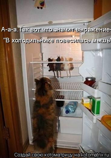 Котоматрица: А-а-а.Так вот что значит выражение-  А-а-а.Так вот что значит выражение-  "В холодильнике повесилась мышь"