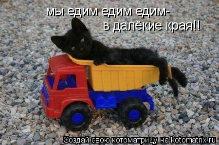 Котоматрица: мы едим едим едим- в далёкие края!!