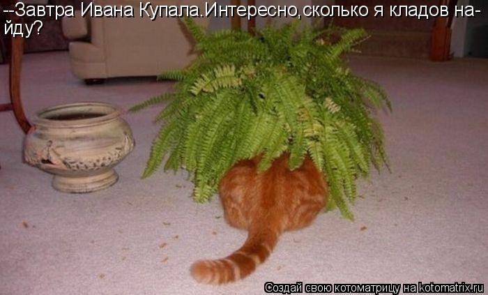 --Завтра Ивана Купала.Интересно,сколько я кладов на- йду?... Котоматрица: --Завтра Ивана Купала.Интересно,сколько я кладов на- йду?
