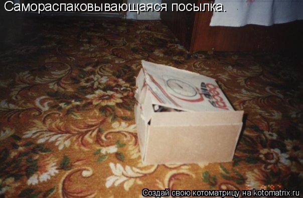 Самораспаковывающаяся посылка.... Котоматрица: Самораспаковывающаяся посылка.