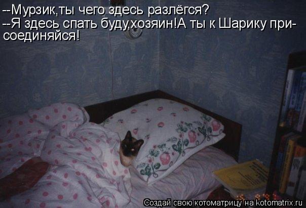 --Мурзик,ты чего здесь разлёгся? --Я здесь спать буду,хозяин!А ты к Шарику при- соединяйся!... Котоматрица: --Мурзик,ты чего здесь разлёгся? --Я здесь спать буду,хозяин!А ты к Шарику при- соединяйся!