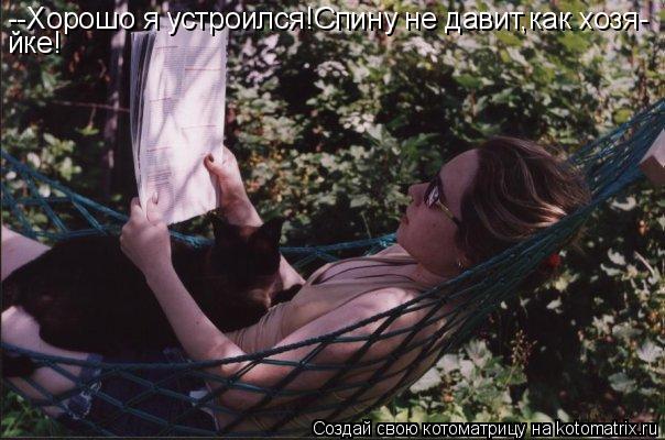 --Хорошо я устроился!Спину не давит,как хозя- йке!... Котоматрица: --Хорошо я устроился!Спину не давит,как хозя- йке!