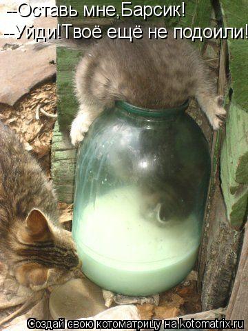 Котоматрица: --Оставь мне,Барсик! --Уйди!Твоё ещё не подоили!
