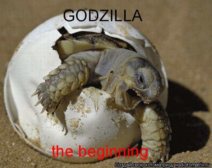 GODZILLA the beginning... Котоматрица: GODZILLA the beginning