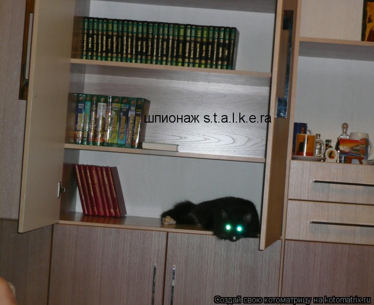 шпионаж s.t.a.l.k.e.rа... Котоматрица: шпионаж s.t.a.l.k.e.rа