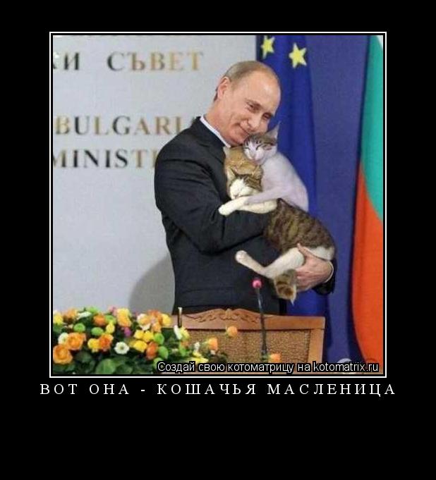 Вот она - кошачья масленица ... Котоматрица: Вот она - кошачья масленица