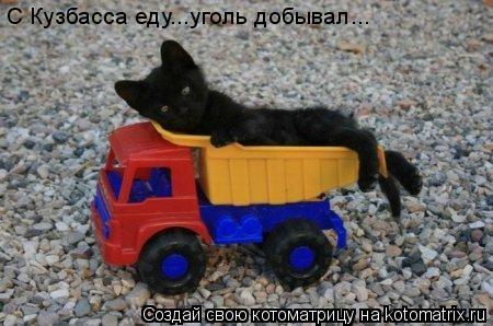 Котоматрица: С Кузбасса еду...уголь добывал...