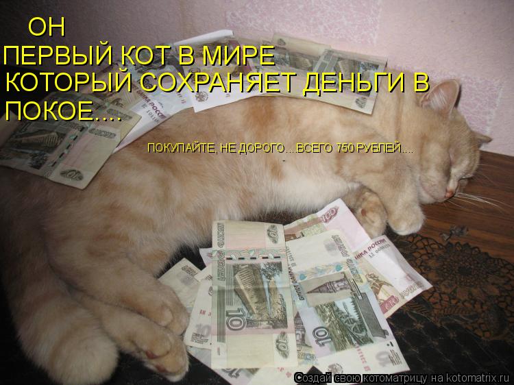 ОН ПЕРВЫЙ КОТ В МИРЕ КОТОРЫЙ СОХРАНЯЕТ ДЕНЬГИ В ПОКОЕ.... ПОКУПАЙТЕ, НЕ ДОРОГО....ВСЕГО 750 РУБЛЕЙ...... Котоматрица: ОН ПЕРВЫЙ КОТ В МИРЕ КОТОРЫЙ СОХРАНЯЕТ ДЕНЬГИ В ПОКОЕ.... ПОКУПАЙТЕ, НЕ ДОРОГО....ВСЕГО 750 РУБЛЕЙ....