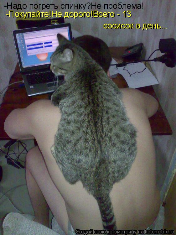 Котоматрица: -Надо погреть спинку?Не проблема! -Покупайте!Не дорого!Всего - 13  сосисок в день...