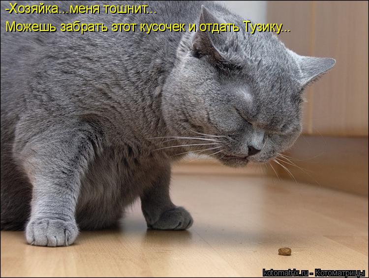 -Хозяйка...меня тошнит... Можешь забрать этот кусочек и отдать Тузику...... Котоматрица: -Хозяйка...меня тошнит... Можешь забрать этот кусочек и отдать Тузику...