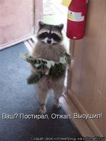 Котоматрица: Ваш? Постирал, Отжал , Высушил!