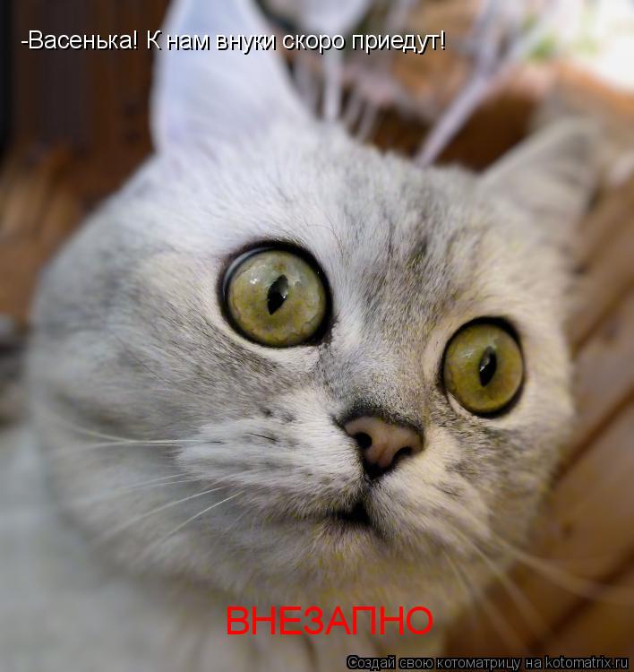 -Васенька! К нам внуки скоро приедут! ВНЕЗАПНО... Котоматрица: -Васенька! К нам внуки скоро приедут! ВНЕЗАПНО